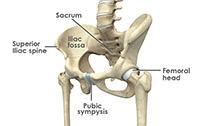 Hip Image Hip